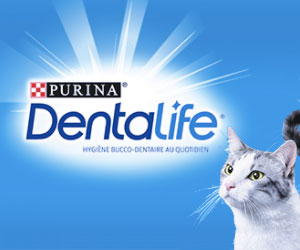 purina dentalife