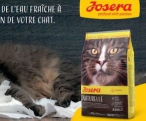 Echantillons Gratuits D Aliments Pour Chats Josera Echantillons Gratuits D Aliments Pour Chats Josera