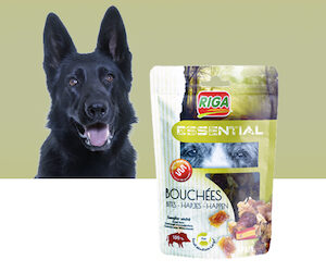 Echantillons gratuits Chien