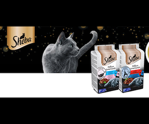 Test Gratuit Coffret Sheba Delices Gourmands Pour Chats Test Gratuit Coffret Sheba Delices Gourmands Pour Chats