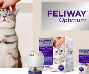 diffuseur de bien-être pour chats Feliway Optimium