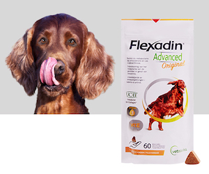 complément alimentaire pour chien flexadin advanced original