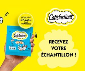 catisfaction friandises pour chat