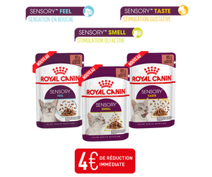 nourriture Royal Canin pour chat