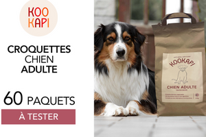 croquettes pour chien adulte KOOKAPI