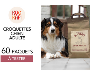 croquettes pour chien adulte KOOKAPI