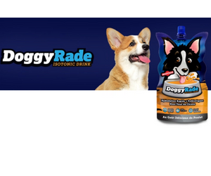 une boisson pour chiens DoggyRade offerte