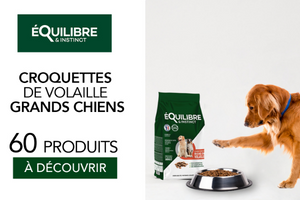 croquettes Equilibres& Instinct pour chien adulte grande taille