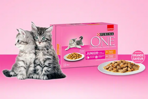 packs de sachets fraîcheur pour chatons gratuits