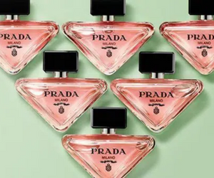 Paradoxe de Prada