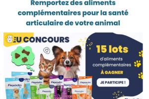 packs aliments complémentaires Flexadin pour chien ou chat en jeu