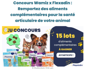 packs aliments complémentaires Flexadin pour chien ou chat en jeu