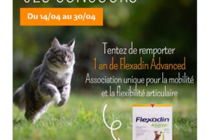 un an de Flexadin Advanced pour chat