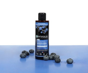 shampoing et démêlant violet déjaunisseur 2 en 1 Centifolia