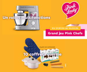 jeu Pink Lady robot multifonctions Kenwood