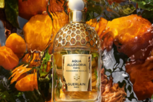 un coffret Aqua Allegoria Mandarine Basilic de Guerlain
