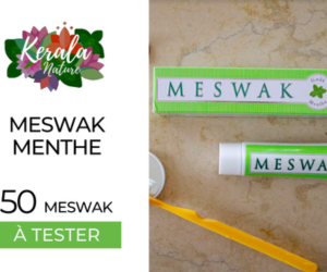 un dentifrice Meswak Menthe