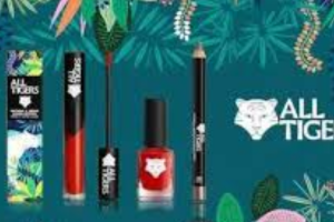 un lot de maquillages All Tigers