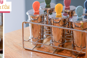 un moule à glace Freezy Gaspajoe