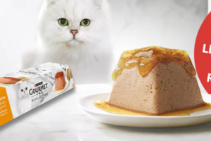 Mousseline Gourmet Revelations