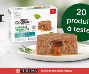 pâté pour chat Gourmet Nature’s Creations
