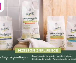 lot d’ingrédients bruts Étamine du Lys