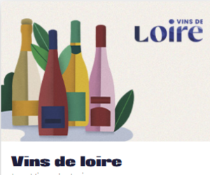 pack de deux bouteilles de Vin de Loire
