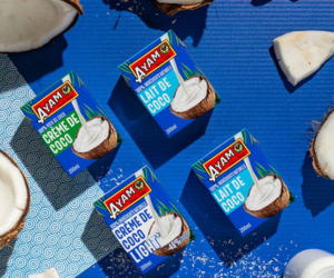 crèmes et laits de coco Ayam