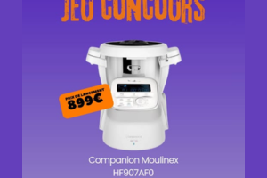 robot Companion Moulinex HF907AF0