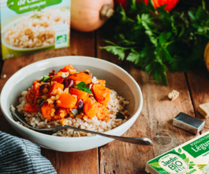 bouillons de cube saveur légumes de Jardin BiO étic