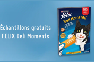 friandises FELIX Deli Moments pour chats