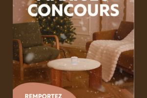 lot de mobilier et accessoires de Noël