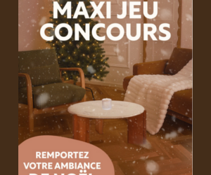 lot de mobilier et accessoires de Noël