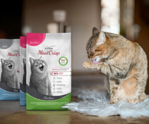 pack d’aliments secs premium pour chats Platinum