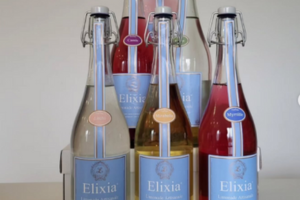 lot de six bouteilles de limonade Elixia