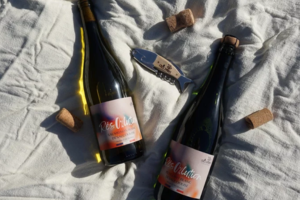 vin sans alcool Résolution d’EthicDrinks