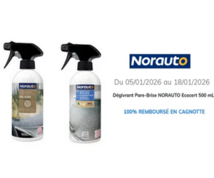 dégivrant pare-brise