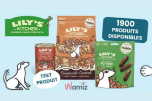 nourriture pour chiens Lily’s Kitchen