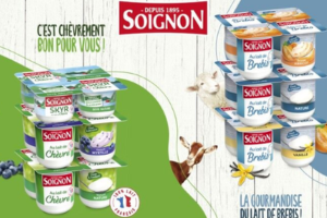 yaourts Soignon